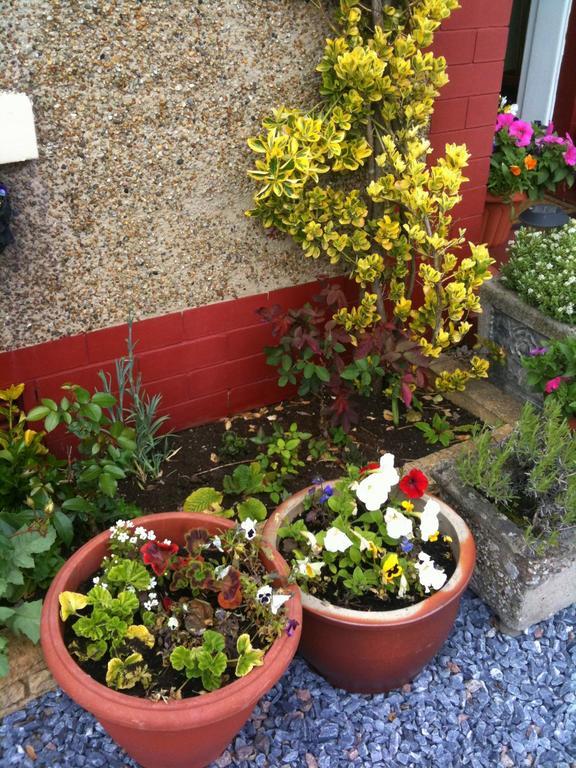 Almond House B&B Edinburg Exteriör bild