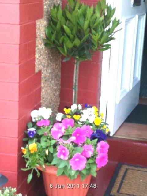 Almond House B&B Edinburg Exteriör bild